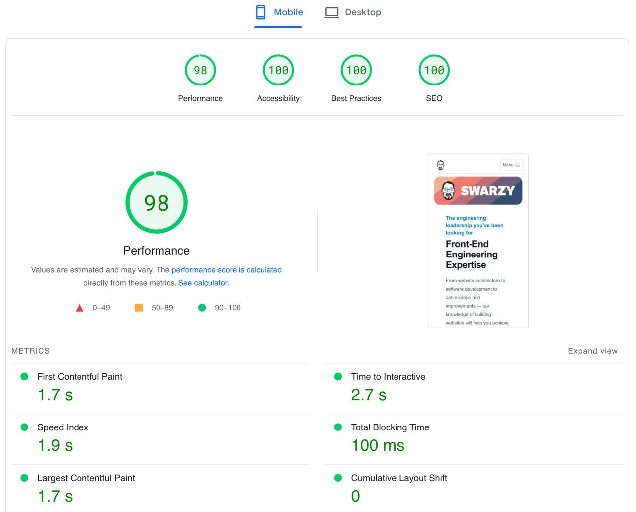 PageSpeed Insights screenshot